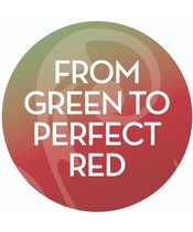 Real Rebel - Colour Perfect Luxury Lip Balm - 3,6 g - Billede 4