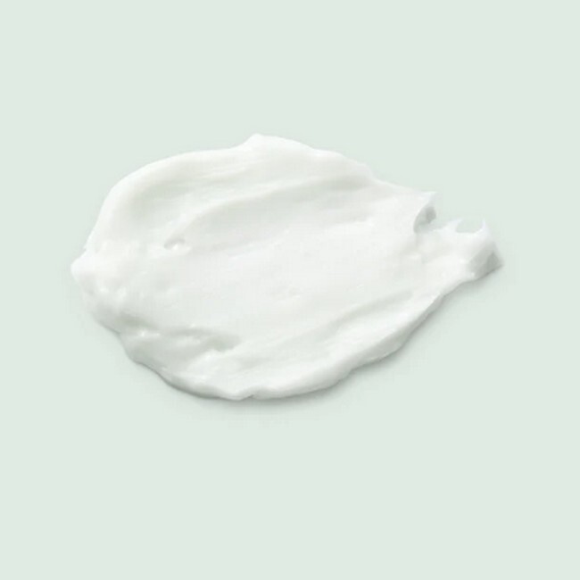 Maria Nila - True Soft Booster Masque - 50 ml