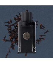 Antonio Banderas - The Icon Eau de Parfum - 100 ml - Edp - Billede 2