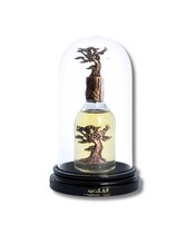 Lattafa Perfumes - Eternal Oud Eau de Parfum - 100 ml - Billede 2