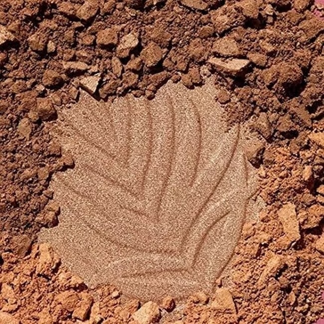 Wet n Wild - Color Icon Bronzer Palm Beach Ready - Billede 3