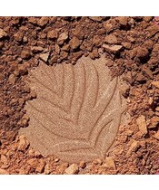 Wet n Wild - Color Icon Bronzer Sunset Striptease - Billede 2